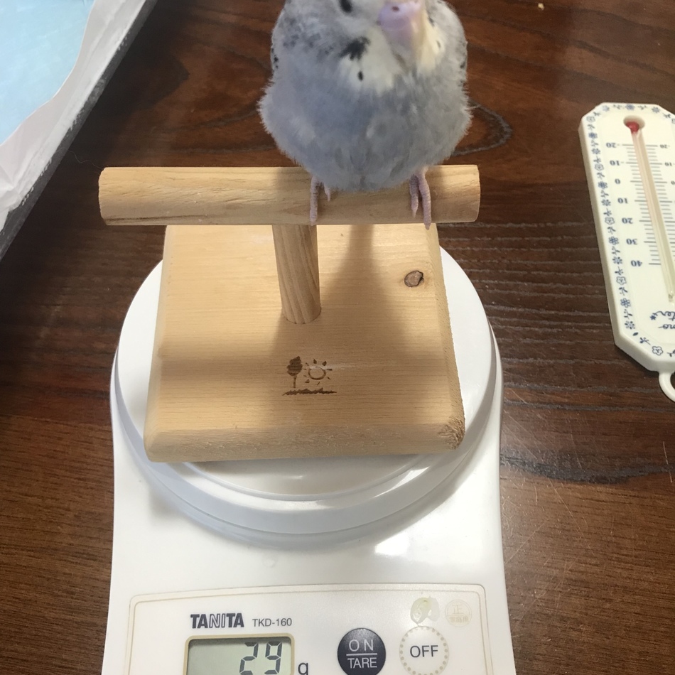 幸村のカバー写真