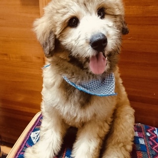 ☆素敵な家族ができました☆