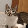 Mizukirin112