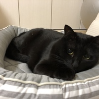 KURO