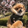 の写真