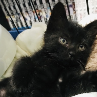 4兄弟＊人が大好き大洲