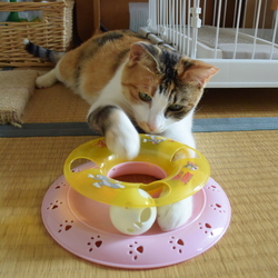 おもちゃ遊び２