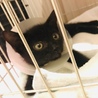 いつも一生懸命＊源隆 サムネイル2