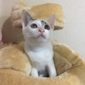 ゴロゴロご機嫌おチビちゃん