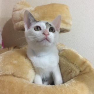 ゴロゴロご機嫌おチビちゃん