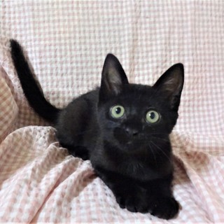 人好きな太陽くん、生後４か月