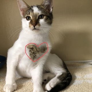 ★超甘えた男の子★