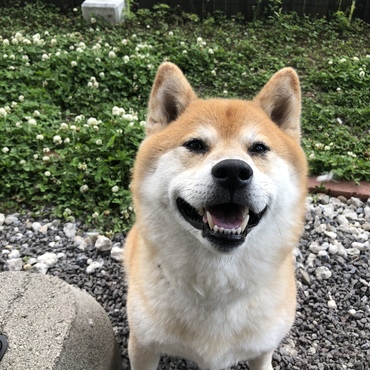 最近ちょっとお太り気味。。。