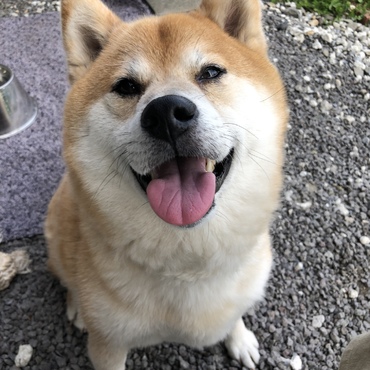 いい笑顔❤️