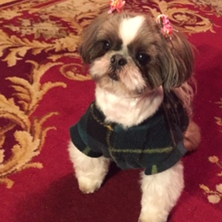 本当にたくさんのご応募、ありがとうございました！！