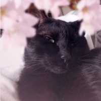 カラ