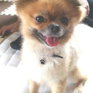 可愛くてたまらないココ君