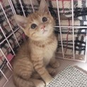 募集を一時停止します。