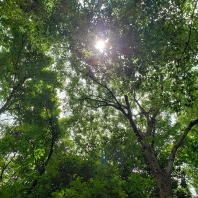 あくびﾁｬﾝのカバー写真