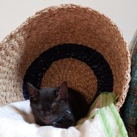 碧 ( あおい ) くん