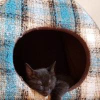 月詠 ( つくと ) くん