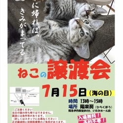 猫の譲渡会