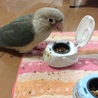 大和