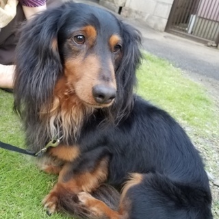 ありがとうございましたm(__)m