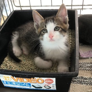 元気いっぱい　月丸くん