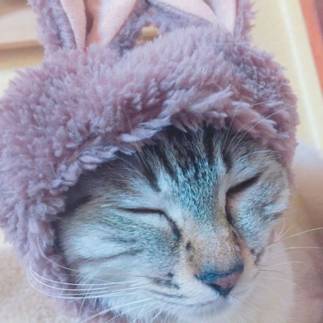 @れんのカバー写真