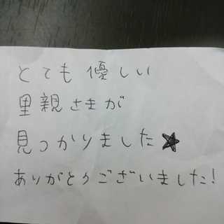 ペルシャ里親募集終了しました