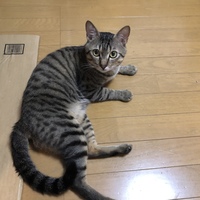 ジョニー