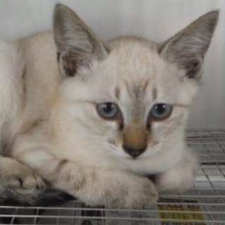 団体様が引き出して下さいました。