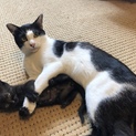 1歳前位 甘えん坊の男の子