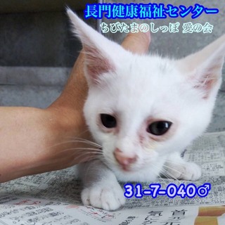 一時預り先から募集継続します(TT)