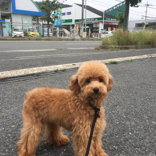 ぐちおかのカバー写真