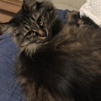 ヨンナ