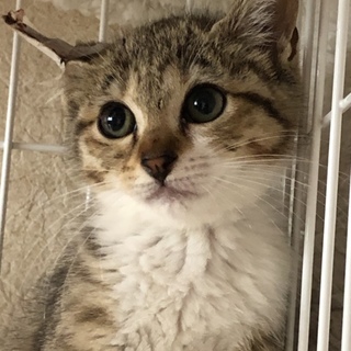 とっても美人なルミネちゃん3ヶ月