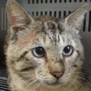 団体様が引き出して下さいました。