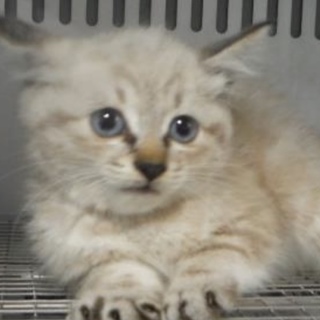 団体様が引き出して下さいました。