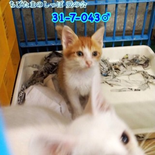 預りさん宅から再募集予定です！！