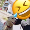 カイトリアン
