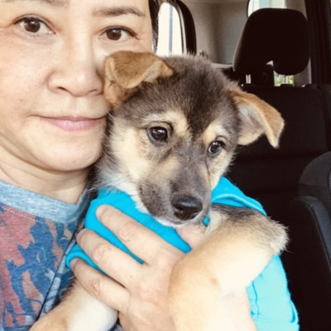 人と動物のキズナのカバー写真