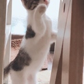 可愛いおてんばさんです