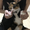 蝶ネクタイ似合ってるー