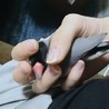 手のり 桜文鳥 生後8ヶ月 サムネイル2