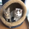 仲良しになったおじいちゃんと僕