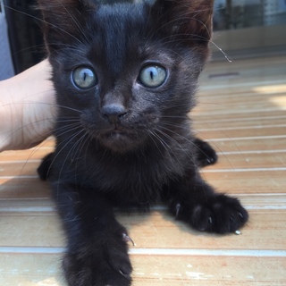 男の子です！