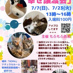 もふもふ西宮 保護ネコの幸せ譲渡会♡