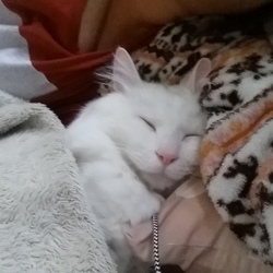 すみお君の近況をば( ･ㅂ･)و ̑̑