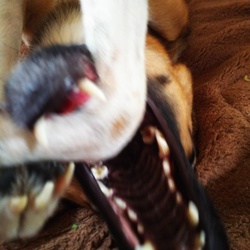 「ろんぞー」サムネイル2