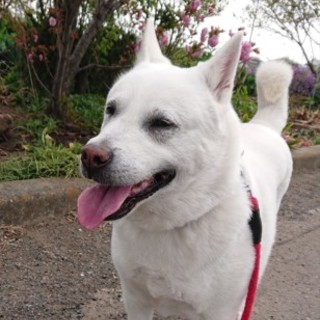 のんびりのんちゃん♪