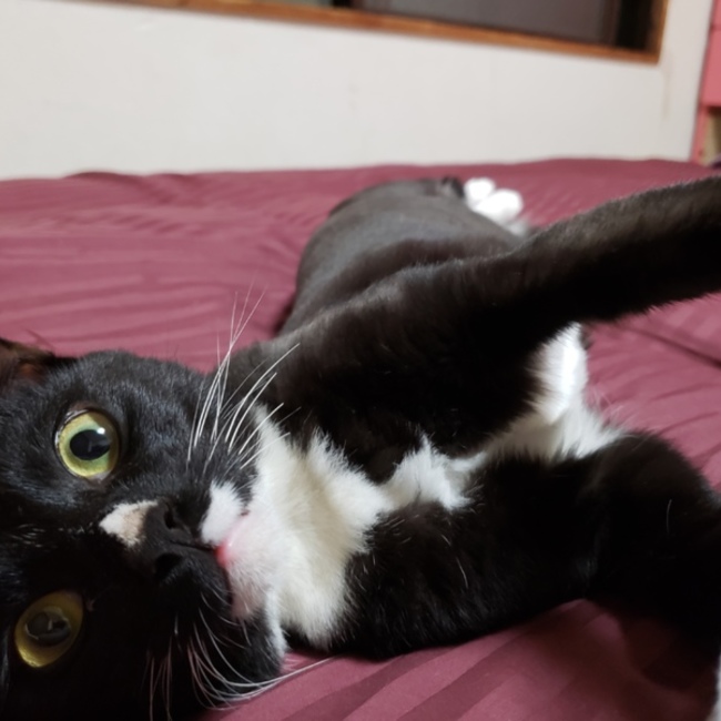 ぐっちむーのカバー写真