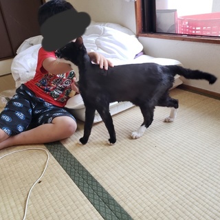 すごく人間大好き